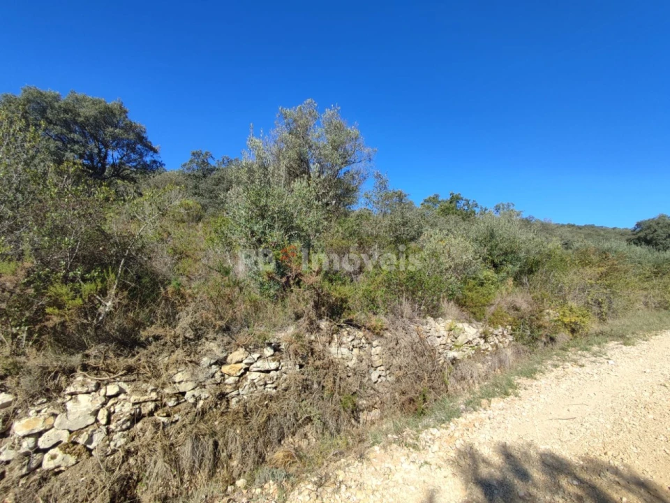 Terreno para Venda em Além da Ribeira e Pedreira Foto 11