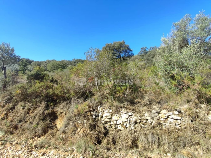 Terreno para Venda em Além da Ribeira e Pedreira Foto 4