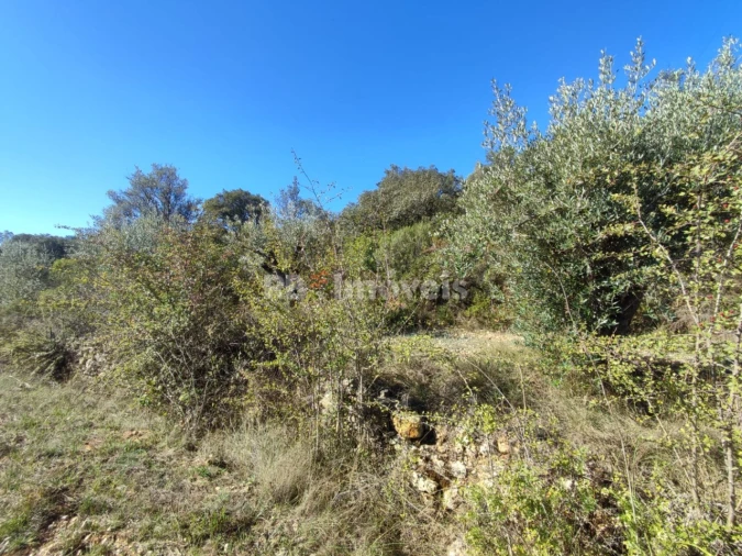 Terreno para Venda em Além da Ribeira e Pedreira Foto 9