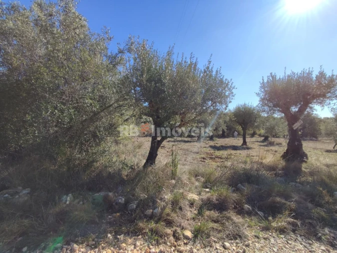Terreno para Venda em Além da Ribeira e Pedreira Foto 3