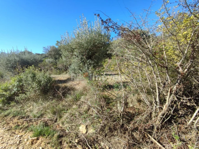 Terreno para Venda em Além da Ribeira e Pedreira Foto 12