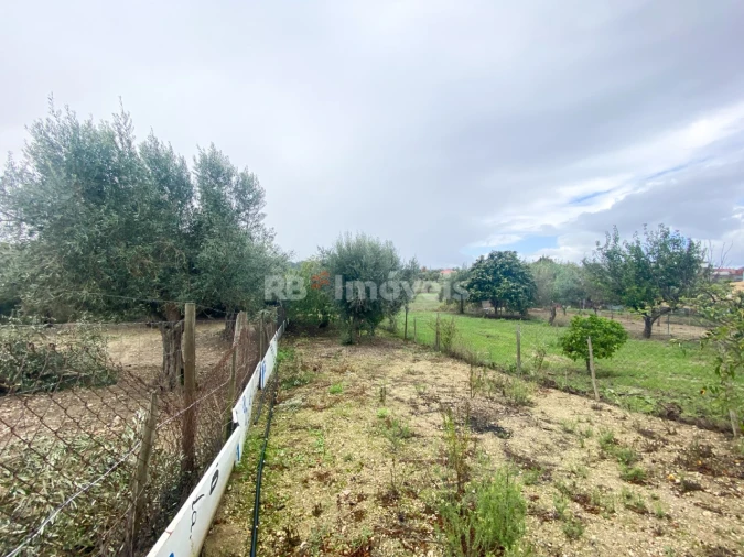 Moradia T2 para Venda em Madalena e Beselga Foto 33