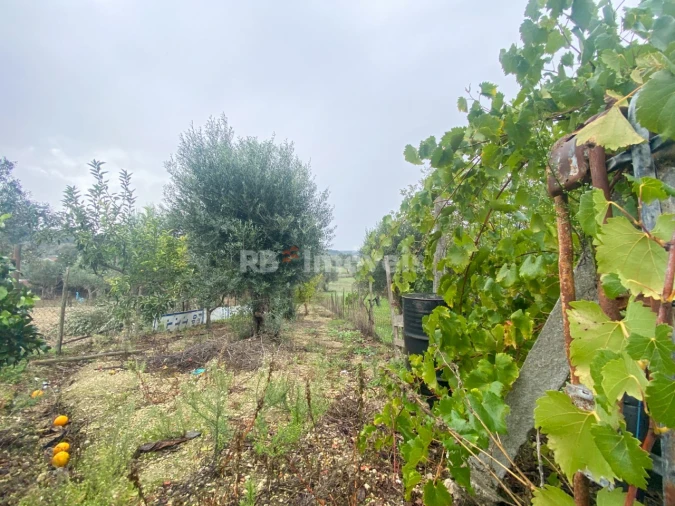 Moradia T2 para Venda em Madalena e Beselga Foto 34