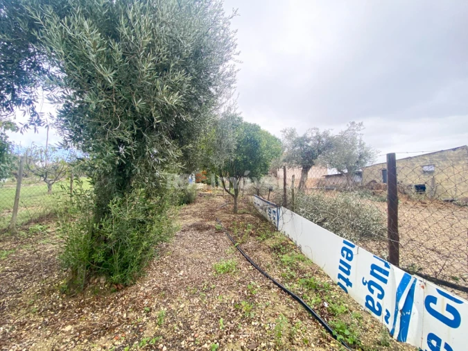 Moradia T2 para Venda em Madalena e Beselga Foto 35