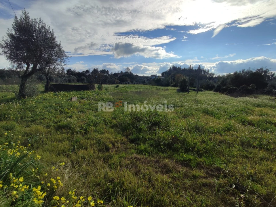 Moradia T4 para Venda em Areias e Pias Foto 53