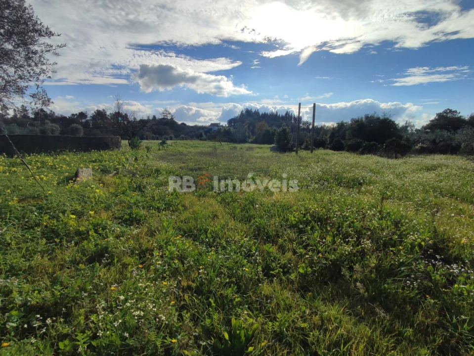 Moradia T4 para Venda em Areias e Pias Foto 54