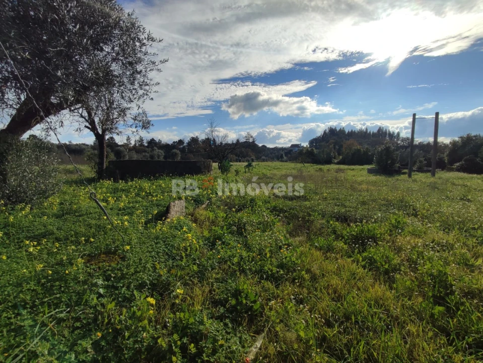 Moradia T4 para Venda em Areias e Pias Foto 59