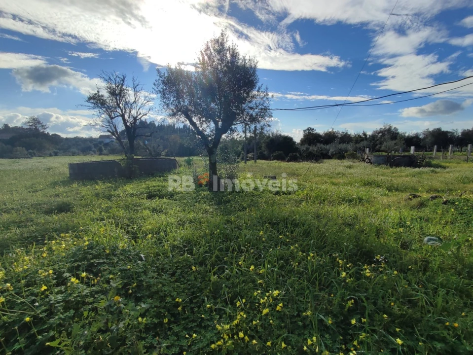 Moradia T4 para Venda em Areias e Pias Foto 57