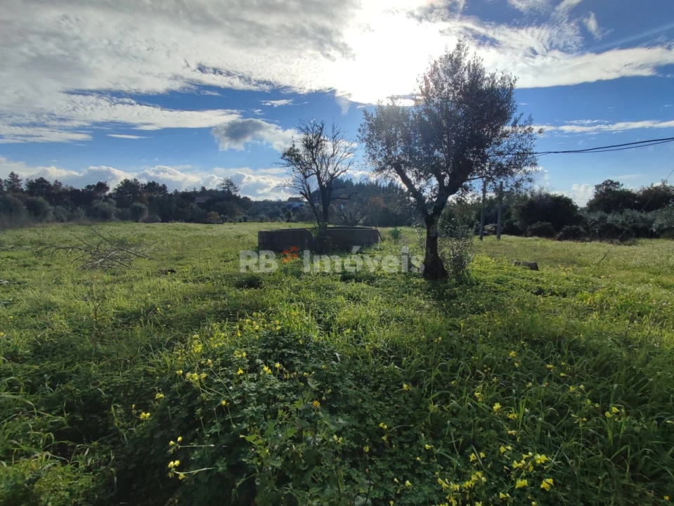 Moradia T4 para Venda em Areias e Pias Foto 58