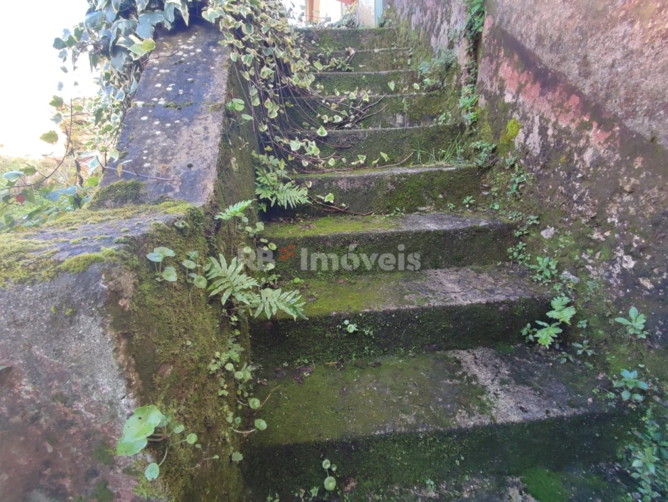 Moradia T4 para Venda em Areias e Pias Foto 41