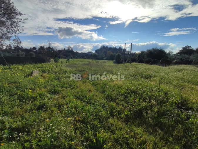 Moradia T4 para Venda em Areias e Pias Foto 54