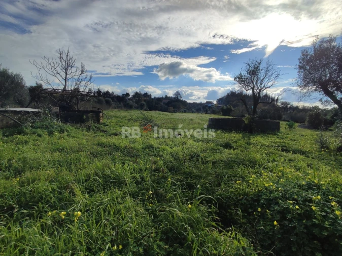 Moradia T4 para Venda em Areias e Pias Foto 60