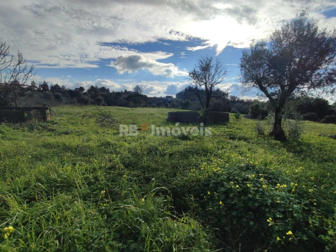 Moradia T4 para Venda em Areias e Pias Foto 56