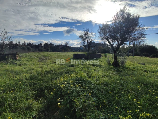 Moradia T4 para Venda em Areias e Pias Foto 55