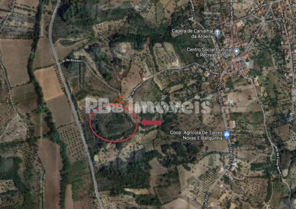 Terreno Agricola ou Rústico para Venda em Torres Novas (Santa Maria, Salvador e Santiago) Foto 2