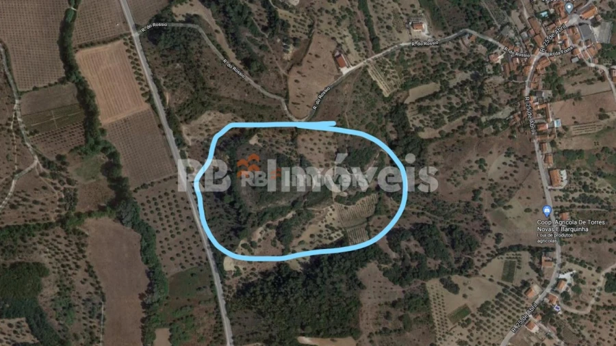 Terreno Agricola ou Rústico para Venda em Torres Novas (Santa Maria, Salvador e Santiago) Foto 1