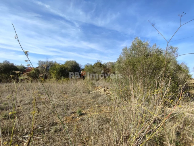 Terreno para Venda em Além da Ribeira e Pedreira Foto 3