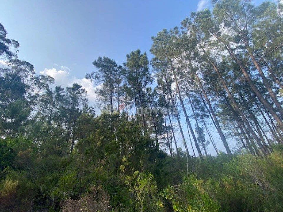 Terreno para Venda em Sabacheira Foto 2