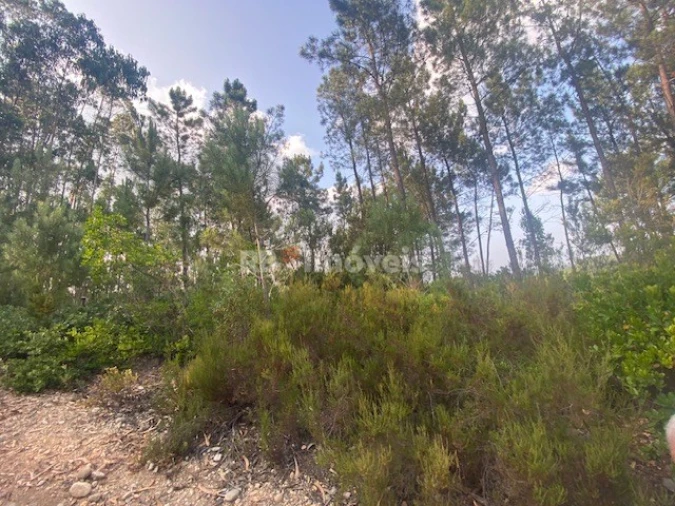 Terreno para Venda em Sabacheira Foto 13