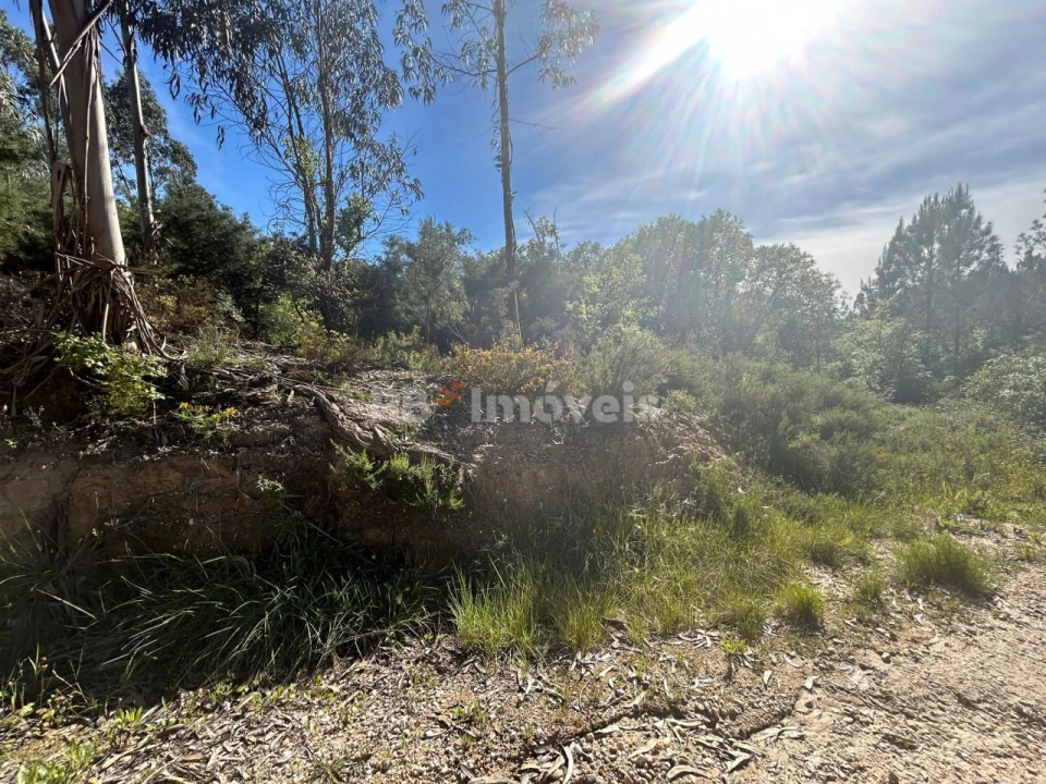 Terreno Agricola ou Rústico para Venda em Sabacheira Foto 4