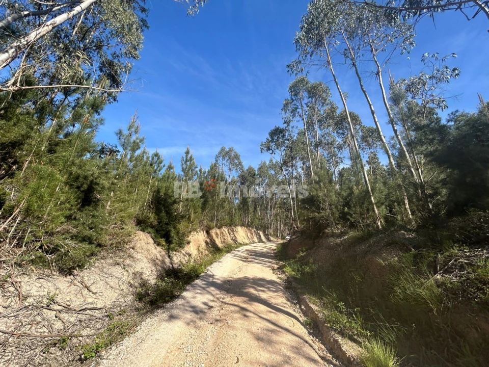 Terreno Agricola ou Rústico para Venda em Sabacheira Foto 3