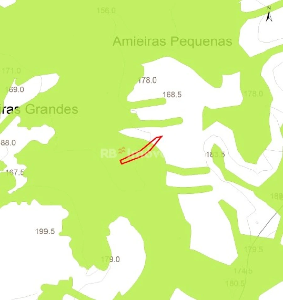 Terreno Agricola ou Rústico para Venda em Sabacheira Foto 13