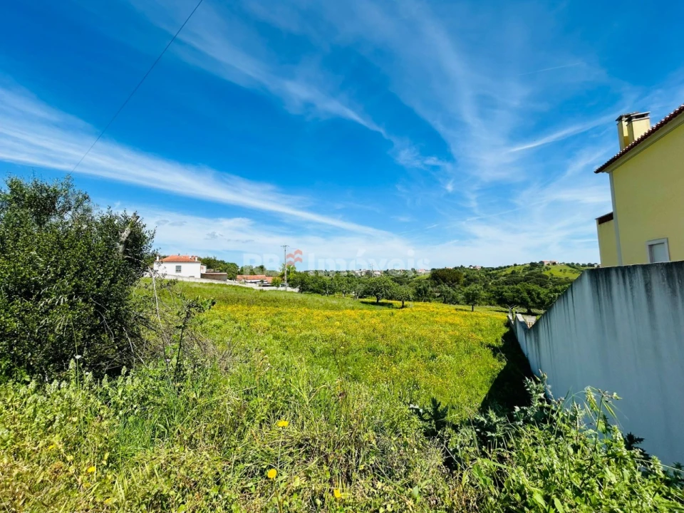 Terreno para Venda em Torres Novas (São Pedro), Lapas e Ribeira Branca Foto 3