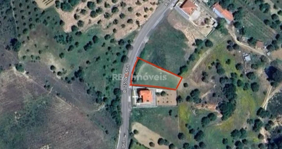 Terreno para Venda em Torres Novas (São Pedro), Lapas e Ribeira Branca Foto 1