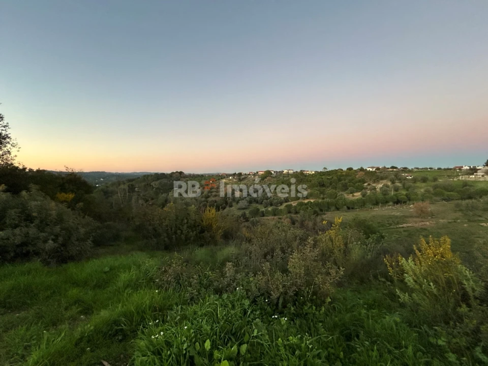 Terreno Agricola ou Rústico para Venda em Madalena e Beselga Foto 10