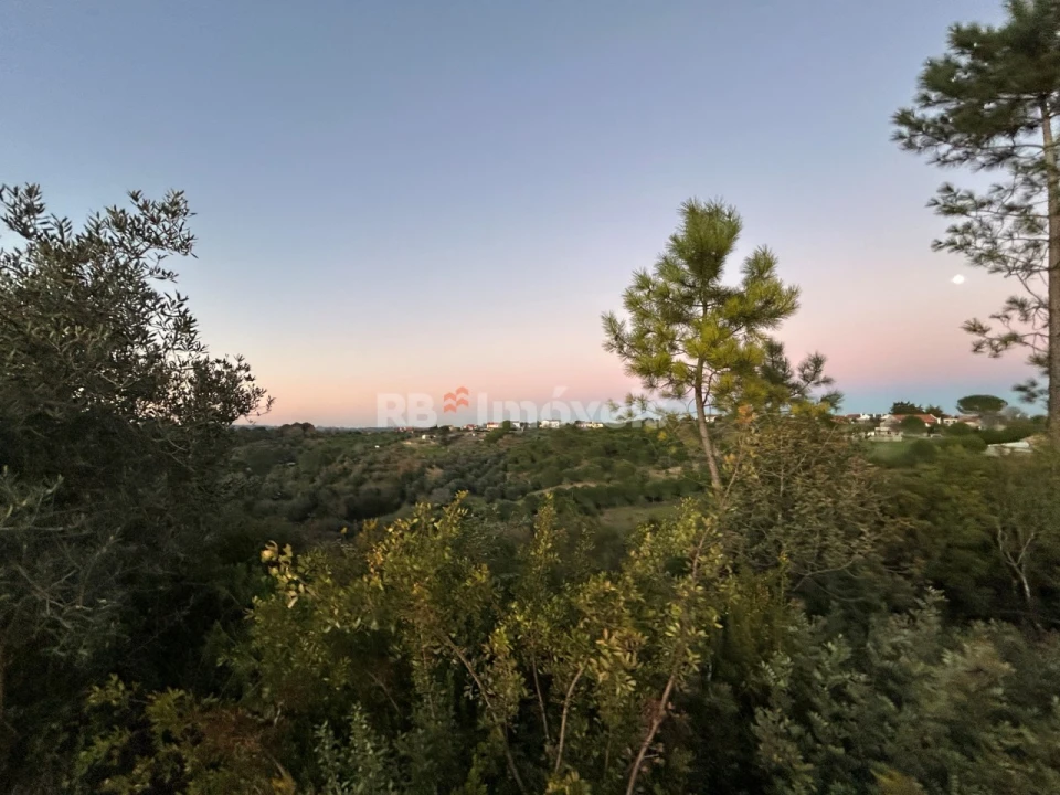 Terreno Agricola ou Rústico para Venda em Madalena e Beselga Foto 9