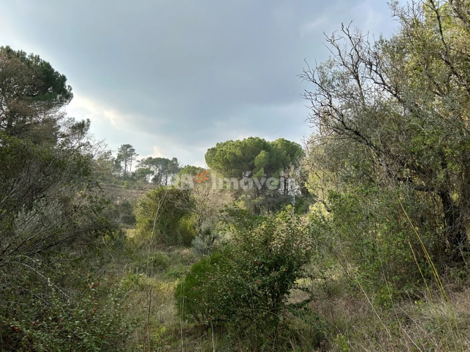 Terreno Agricola ou Rústico para Venda em Madalena e Beselga Foto 14