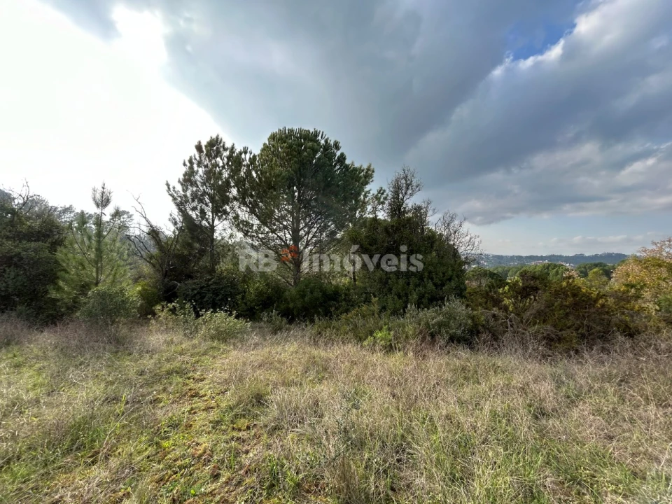 Terreno Agricola ou Rústico para Venda em Madalena e Beselga Foto 23