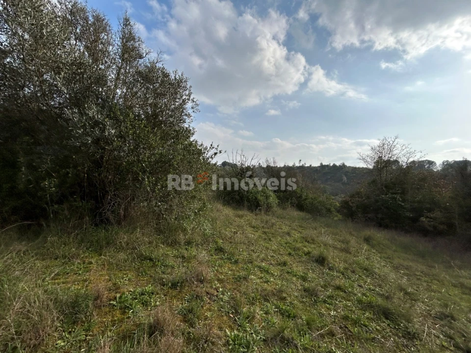 Terreno Agricola ou Rústico para Venda em Madalena e Beselga Foto 25