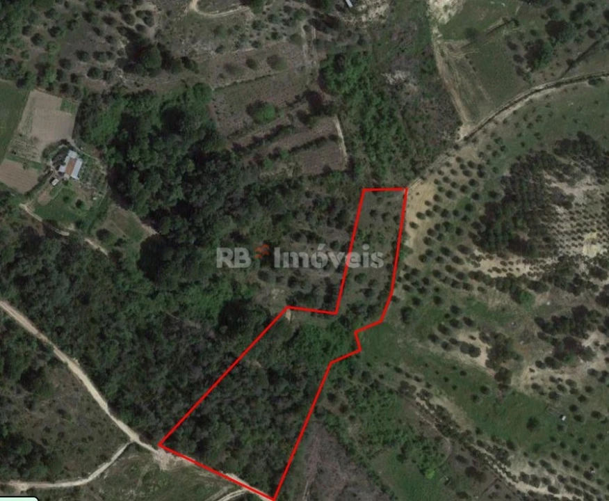 Terreno Agricola ou Rústico para Venda em Madalena e Beselga Foto 3