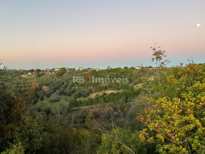 Terreno Agricola ou Rústico para Venda em Madalena e Beselga Foto 8