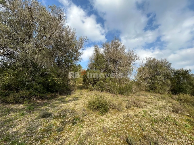 Terreno Agricola ou Rústico para Venda em Madalena e Beselga Foto 16