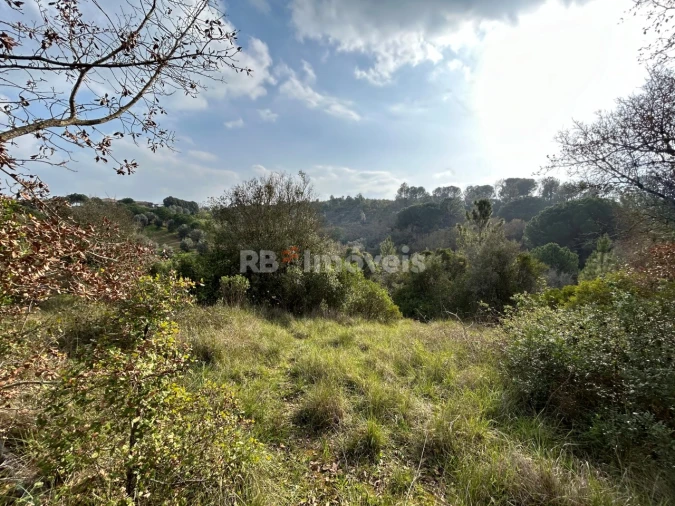 Terreno Agricola ou Rústico para Venda em Madalena e Beselga Foto 20