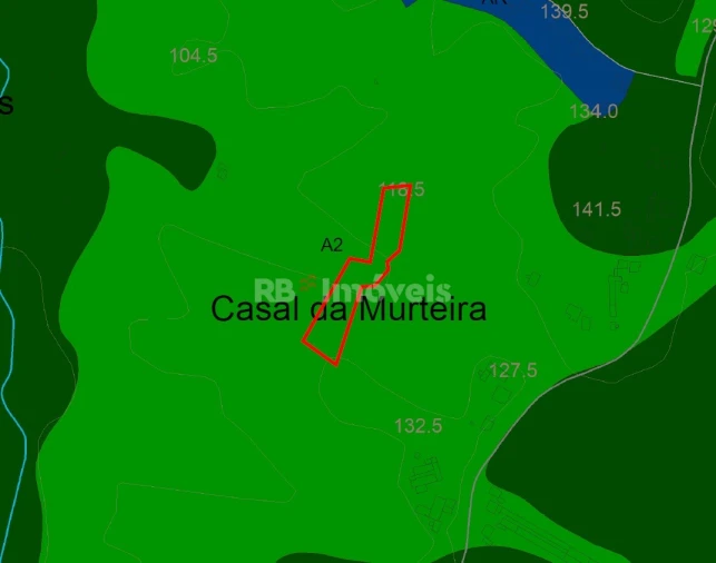 Terreno Agricola ou Rústico para Venda em Madalena e Beselga Foto 6