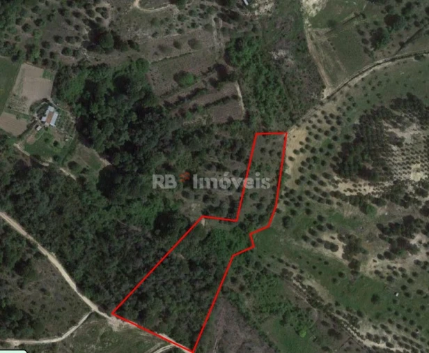 Terreno Agricola ou Rústico para Venda em Madalena e Beselga Foto 3