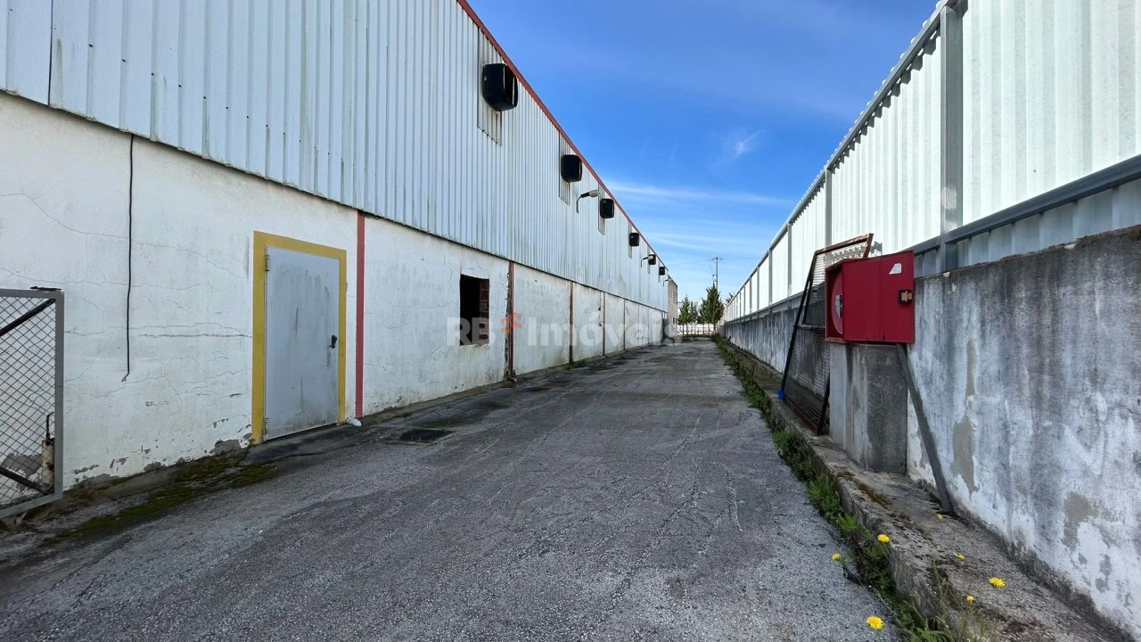 Armazém para Venda em Montalvo Foto 38