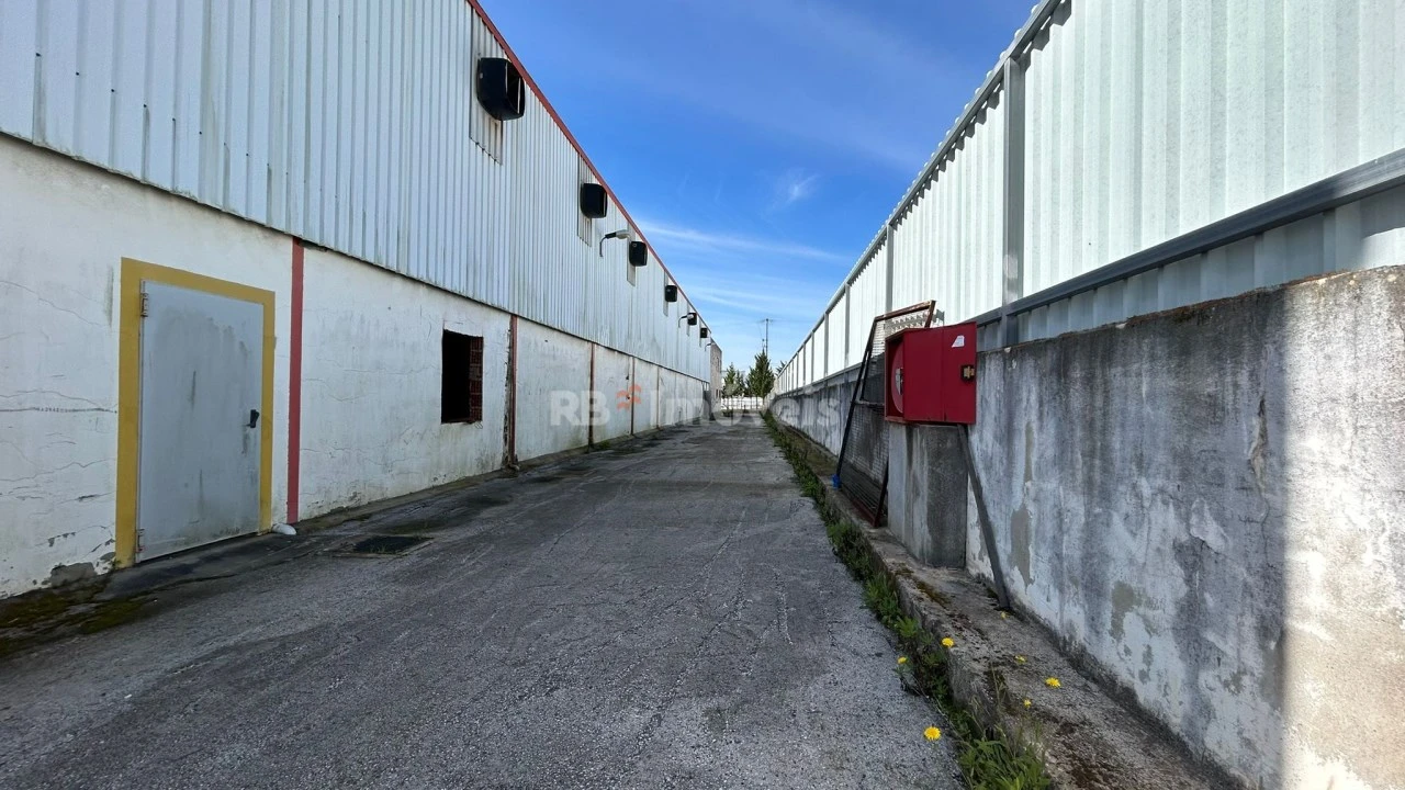 Armazém para Venda em Montalvo Foto 45