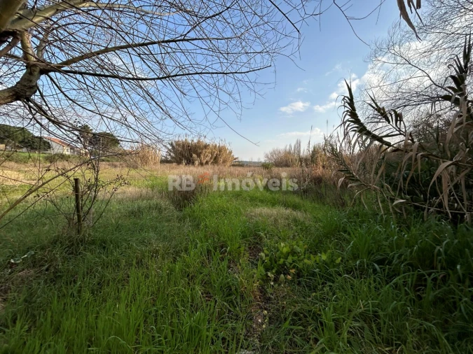 Terreno Agricola ou Rústico para Venda em São João Baptista e Santa Maria dos Olivais Foto 8