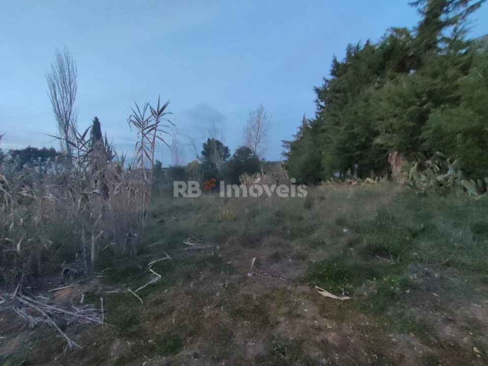 Terreno Agricola ou Rústico para Venda em São Pedro de Tomar Foto 16