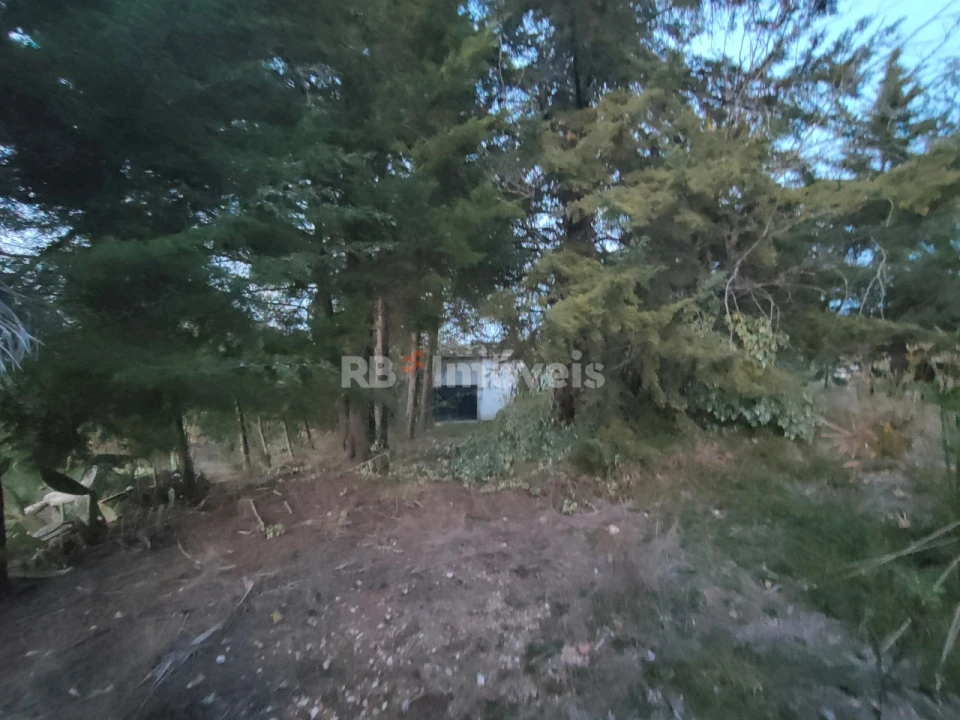 Terreno Agricola ou Rústico para Venda em São Pedro de Tomar Foto 11