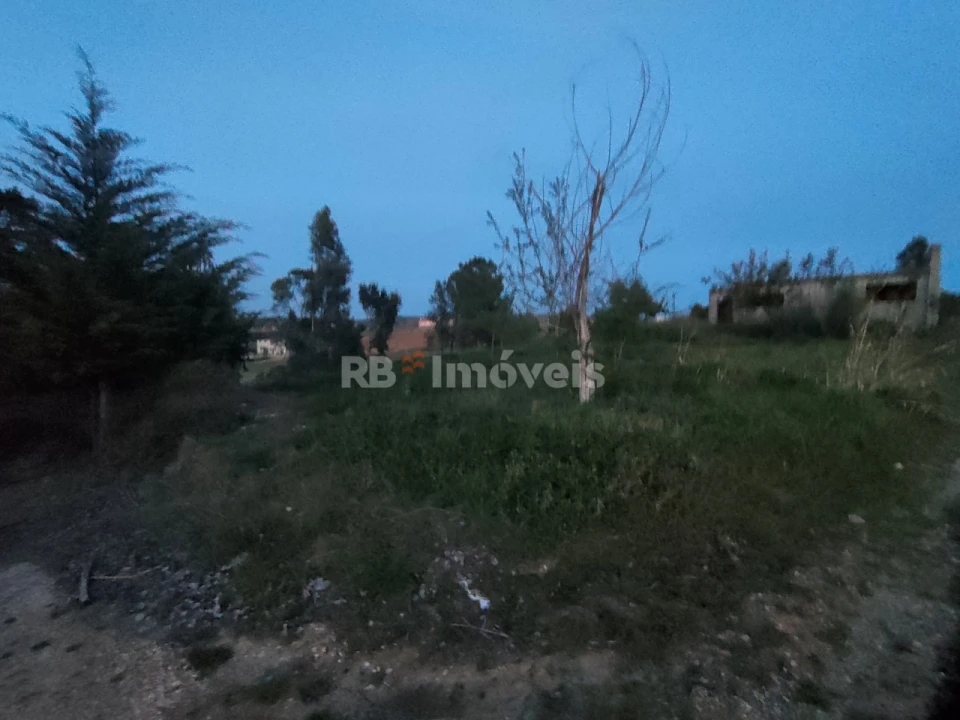 Terreno Agricola ou Rústico para Venda em São Pedro de Tomar Foto 14
