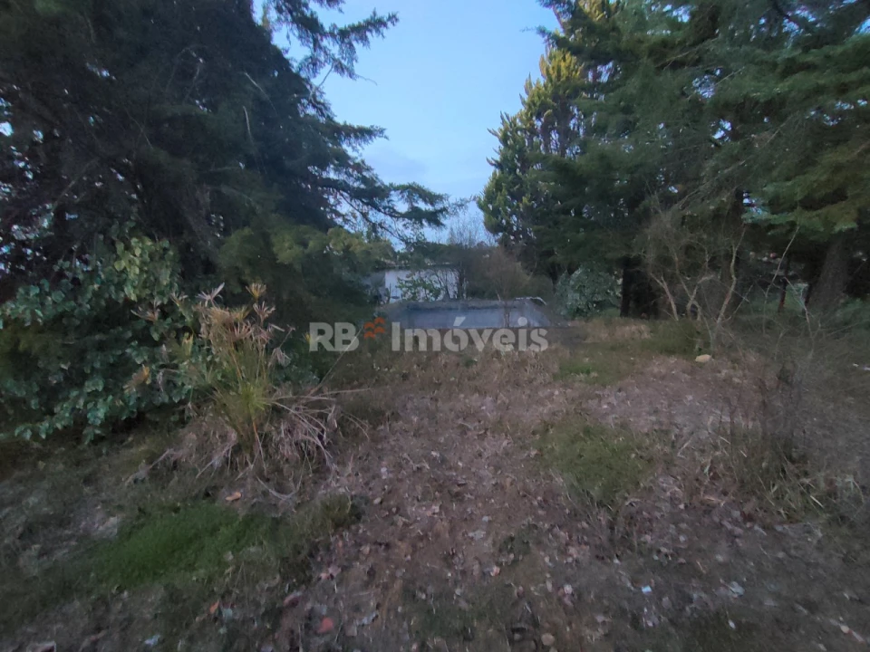 Terreno Agricola ou Rústico para Venda em São Pedro de Tomar Foto 13