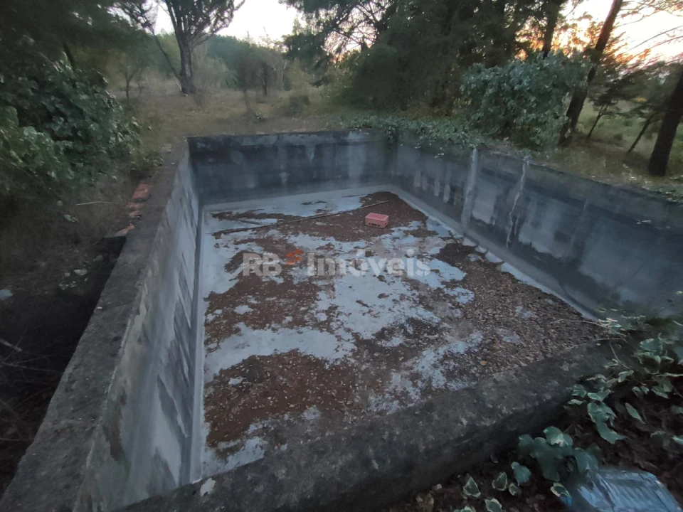 Terreno Agricola ou Rústico para Venda em São Pedro de Tomar Foto 5