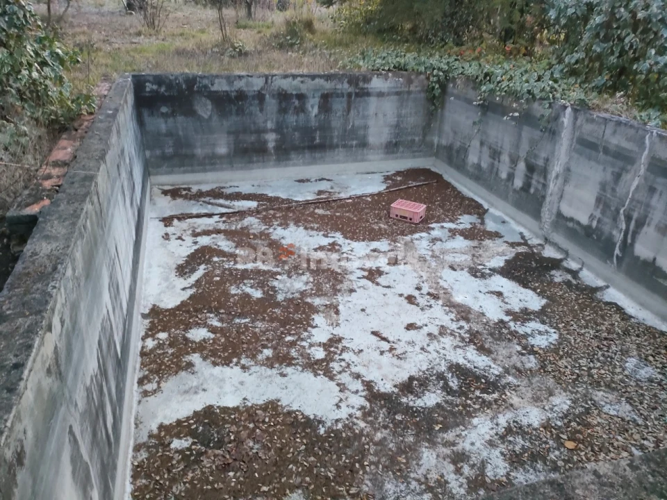 Terreno Agricola ou Rústico para Venda em São Pedro de Tomar Foto 6