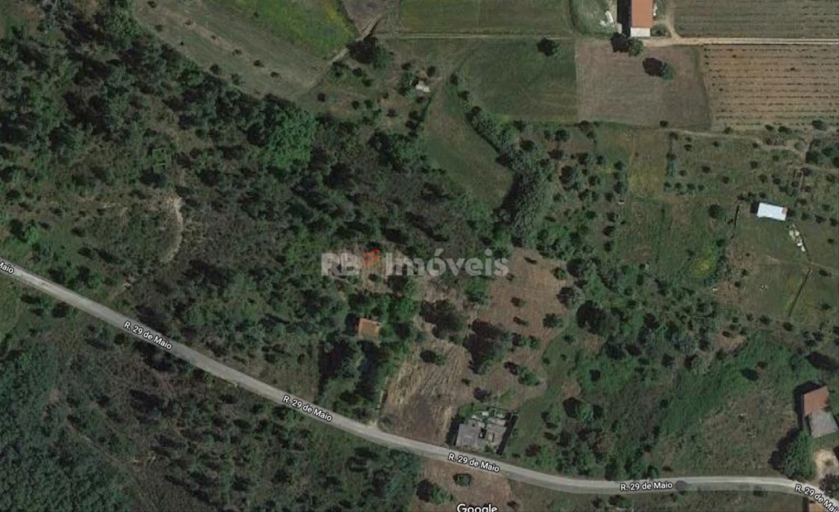 Terreno Agricola ou Rústico para Venda em São Pedro de Tomar Foto 17