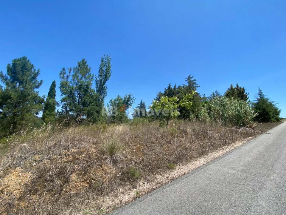 Terreno Agricola ou Rústico para Venda em São Pedro de Tomar Foto 4